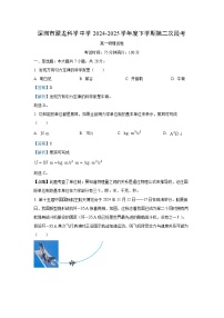 广东省深圳市坪山区聚龙科学中学教育集团2024-2025学年高一下学期5月期中物理试卷（解析版）