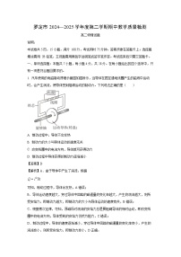 广东省云浮市罗定市2024-2025学年高二下学期期中真题考试物理试卷（解析版）