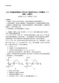 2025年湖南省普通高中学业水平选择性考试5月押题卷（十）物理（含解析）