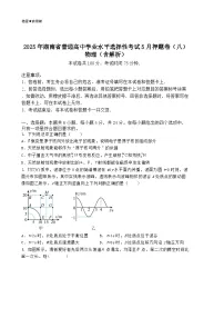 2025年湖南省普通高中学业水平选择性考试5月押题卷（八）物理（含解析）