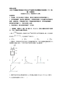 2025年湖南省普通高中学业水平选择性考试模拟冲刺试卷（三）物理（含解析）