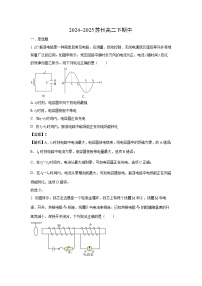 江苏省苏州市2024-2025学年高二下学期期中物理试卷（解析版）