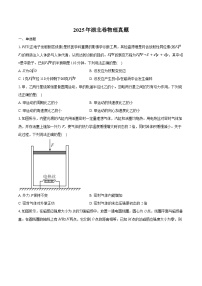 2025年高考真题湖北物理真题+答案