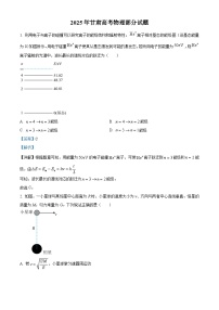 2025年高考真题——物理（甘肃卷）试题（Word版附解析）