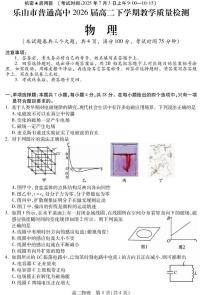 四川省乐山市2024-2025学年高二下学期期末考试物理试卷（PDF版附答案）