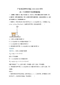 广东省深圳市光明区2023-2024学年高一下学期期中考试物理试卷（解析版）