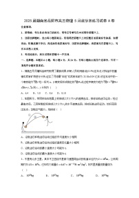 2025届湖南省岳阳市高三下学期5月底信息练习A卷物理试卷（解析版）