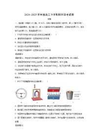 河南省商丘市2024-2025学年高二下学期期中联考物理试卷（解析版）