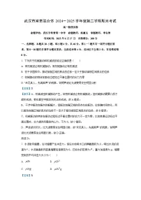 【物理】湖北省武汉市常青联合体2024-2025学年高一下学期期末考试试卷（解析版）
