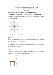 【物理】江苏省连云港市2024-2025学年高一下学期期末调研考试试题（解析版）