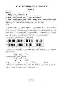 2025年上海市高考物理试题及答案