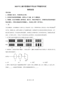 2025年上海市高考物理试题及答案