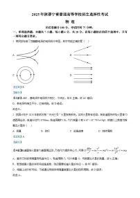 2025年高考真题——物理（陕晋青宁卷）试卷（Word版附解析）
