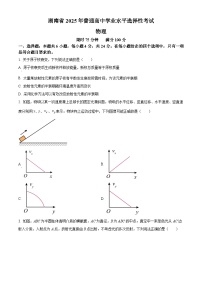 2025年高考湖南卷物理高考真题含答案解析（参考版）