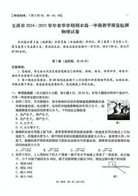 云南省玉溪市2024-2025学年高一下学期期末考试物理试卷（PDF版附解析）