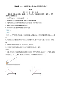 2025年湖南省高考真题——物理 （解析版）