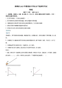 2025年湖南省高考真题——物理 （解析版）