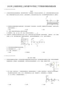 2025年上海浦东新区上海市建平中学高三下学期高考模拟物理试卷（有答案解析）