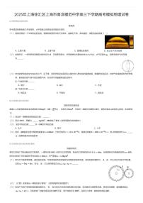 2025年上海徐汇区上海市南洋模范中学高三下学期高考模拟物理试卷（有答案解析）