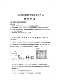 2025届八省高三下学期适应性联考模拟演练考试-物理试题（含答案）