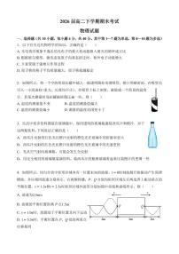 湖北省武汉市新洲区一中2025届新高二下学期7月期末考-物理试题+答案