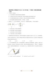 2024～2025学年湖南师范大学附属中学高一下期末考试物理试卷