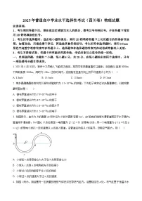 2025年高考四川卷物理高考真题含答案解析（参考版）