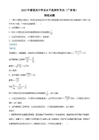 2025年高考真题——物理（广东卷） Word版含解析（部分试题）