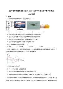 四川省阿坝藏族羌族自治州2024-2025学年高二下学期期末考试物理试题（Word版附答案）