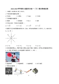 2024-2025学年浙江省嘉兴市高一（下）期末物理试卷（含解析）
