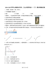 2024-2025学年云南省红河州、文山州联考高一（下）期末物理试卷（含解析）