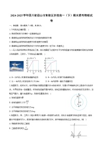 2024-2025学年四川省眉山市东坡区多校高一（下）期末联考物理试卷（含解析）