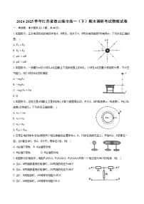 2024-2025学年江苏省连云港市高一（下）期末调研考试物理试卷（含答案）