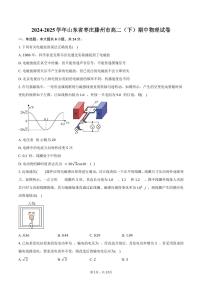 2024-2025学年山东省枣庄滕州市高二（下）期中物理试卷（含答案）