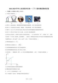 2024-2025学年山东省滨州市高一（下）期末测试物理试卷（含解析）