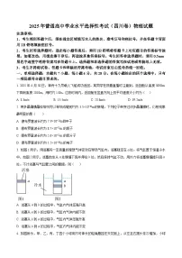 2025年高考四川卷物理高考真题+解析（参考版）