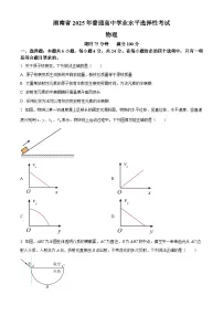 2025年高考湖南卷物理高考真题+解析（参考版）