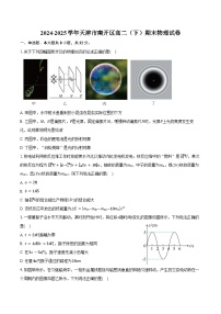 2024-2025学年天津市南开区高二（下）期末物理试卷（含解析）