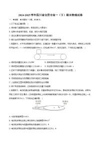 2024-2025学年四川省自贡市高一（下）期末物理试卷（含解析）