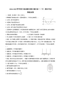2024-2025学年四川省成都市都江堰市高一（下）期末物理试卷（含答案）