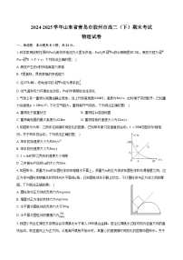 2024-2025学年山东省青岛市胶州市高二（下）期末物理试卷（含答案）