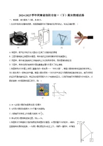 2024-2025学年河南省洛阳市高一（下）期末物理试卷（含解析）