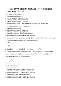 2024-2025学年安徽省阜阳市临泉县高一（下）期末物理试卷（含答案）