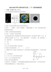 2024-2025学年天津市南开区高二（下）期末物理试卷（含解析）