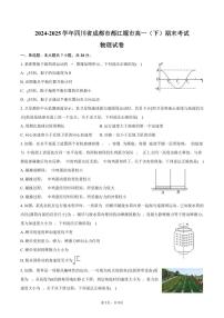 2024-2025学年四川省成都市都江堰市高一（下）期末物理试卷（含答案）