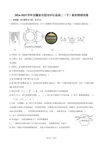 2024-2025学年安徽省合肥市庐江县高二（下）期末物理试卷（含答案）