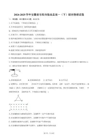 2024-2025学年安徽省阜阳市临泉县高一（下）期末物理试卷（含解析）