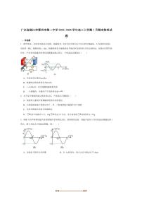 2025届广东省湛江市雷州市第二中学高三上1月期末考试物理试卷(含解析)