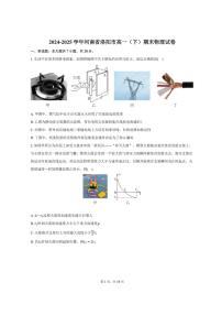 2024-2025学年河南省洛阳市高一（下）期末物理试卷（含解析）