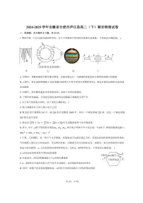 2024-2025学年安徽省合肥市庐江县高二（下）期末物理试卷（含答案）